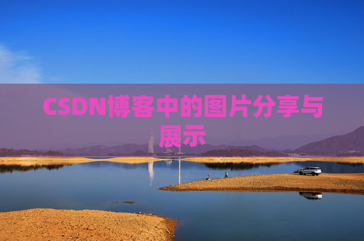 CSDN博客中的图片分享与展示